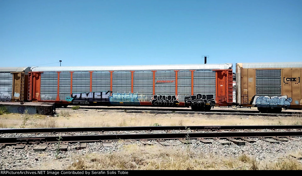 BNSF 29207 BNSF 302469